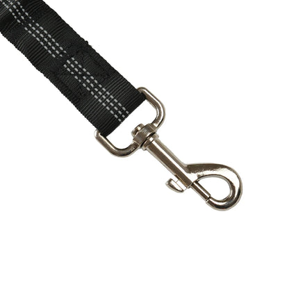 SecurePaw Pet Seat Belt